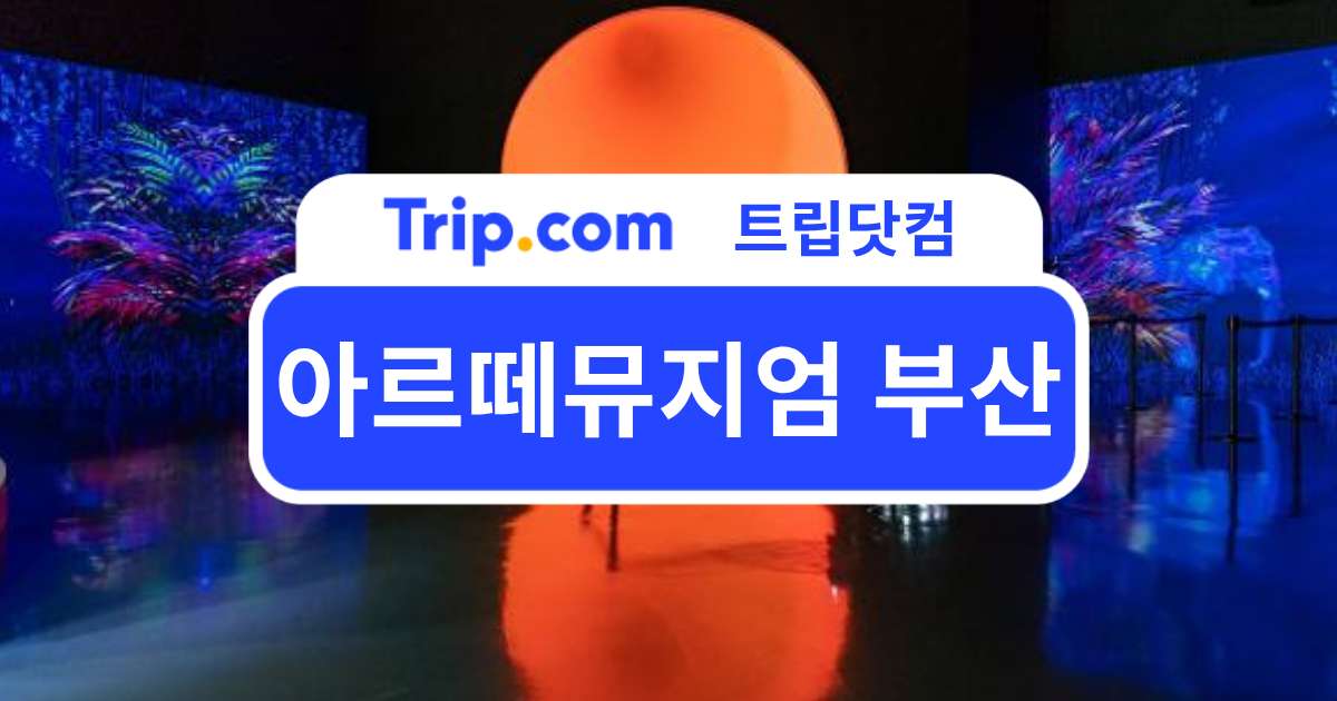 아르떼뮤지엄 부산을 위한 완벽 가이드! 티켓·예약·가는 법 | 트립닷컴