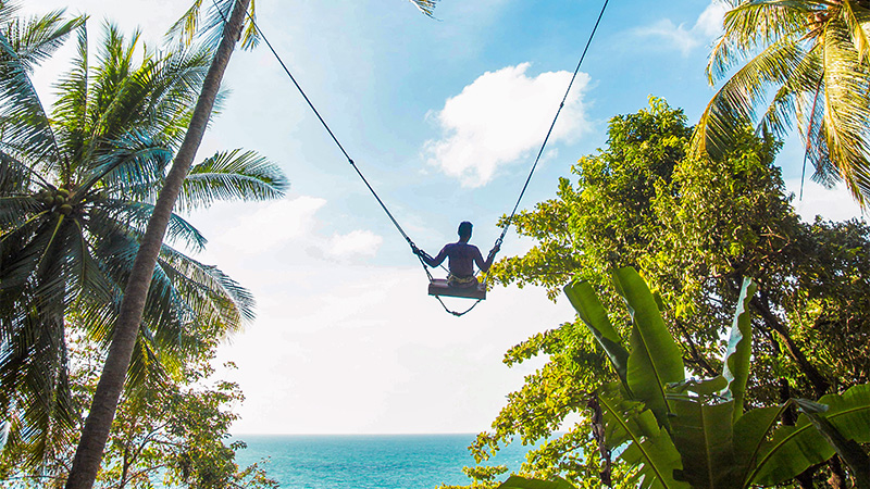 Rock Beach Swing