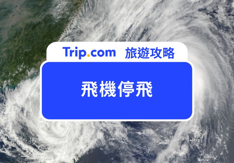 飛機停飛首圖
