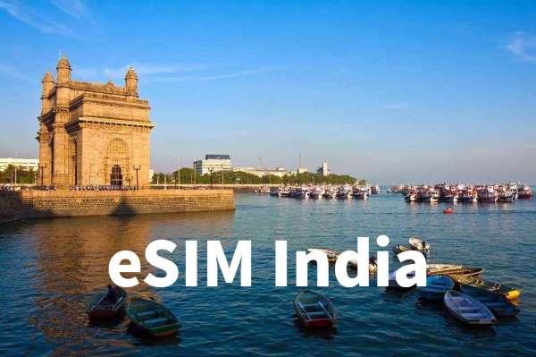 Best eSIM for India from £0.93