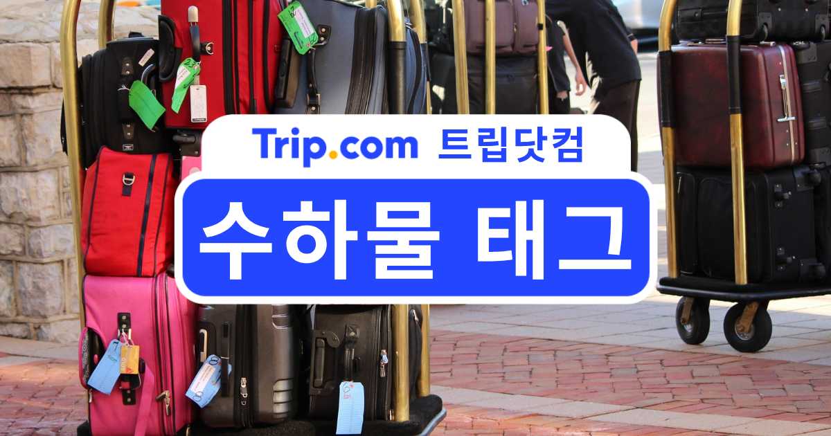 수하물 태그 짐 관리 방법