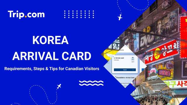 Korea Arrival Card
