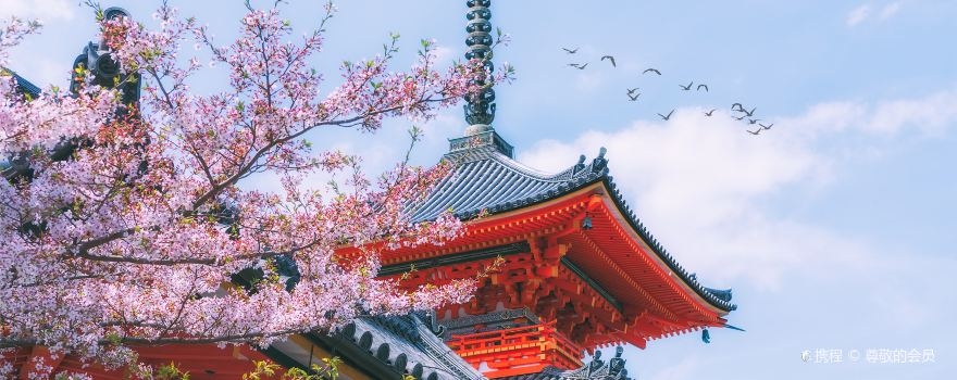 Kyoto Travel Guide: Top Attractions, Transport & Where to Stay