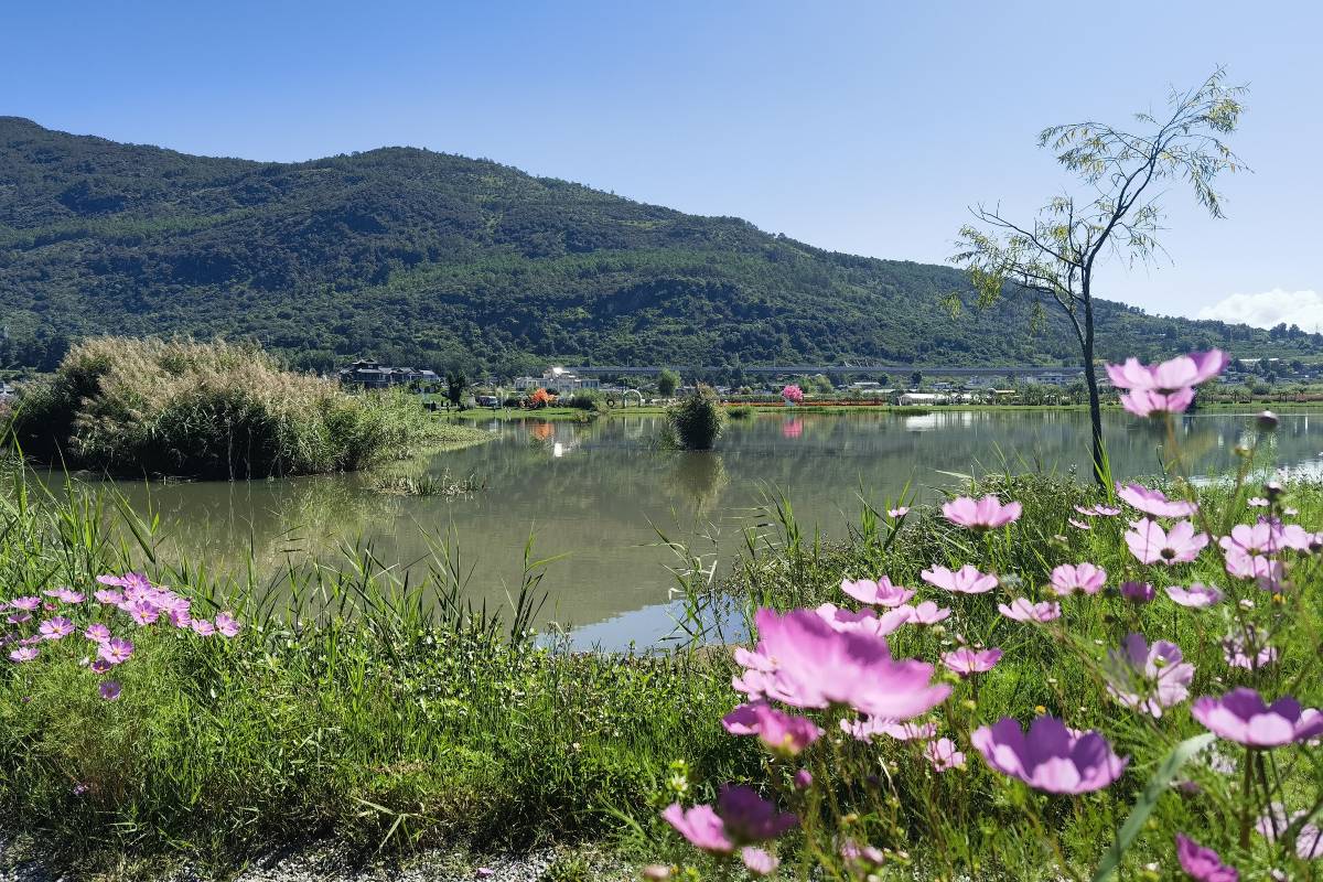 拉市海濕地公園