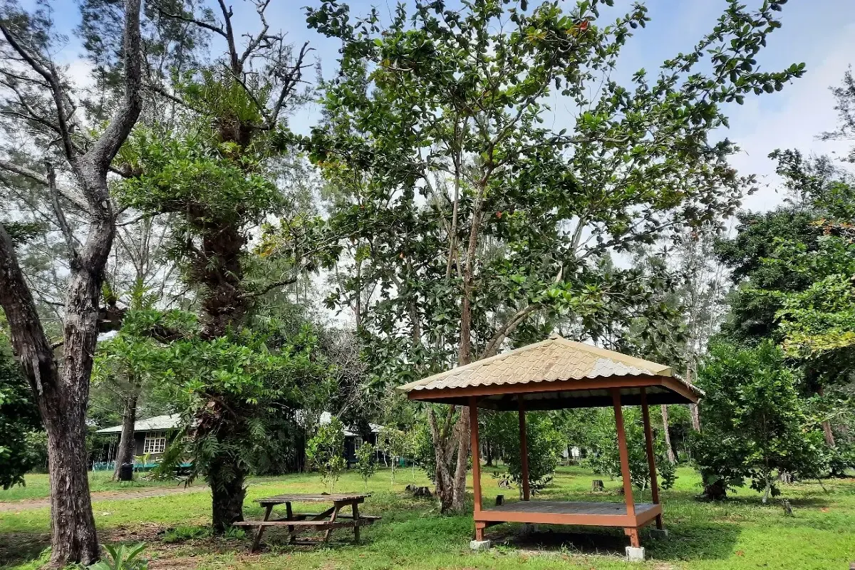 Taman Negara Similajau 