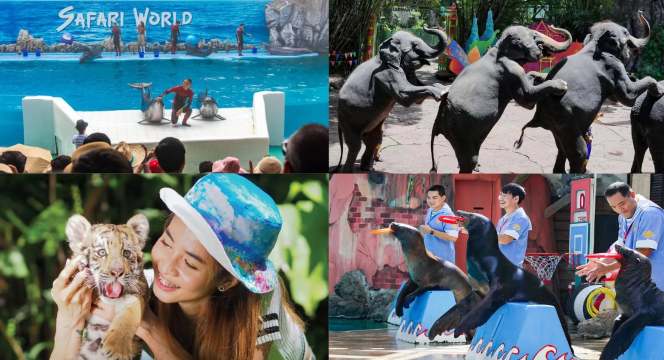 ซาฟารีเวิลด์ (Safari World)