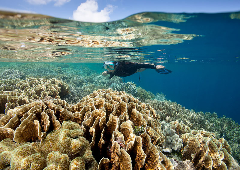 Waktu Terbaik ke Wakatobi