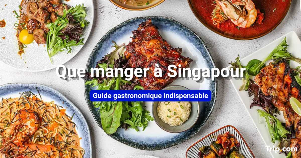 Que manger à Singapour : meilleurs plats et spécialités locales