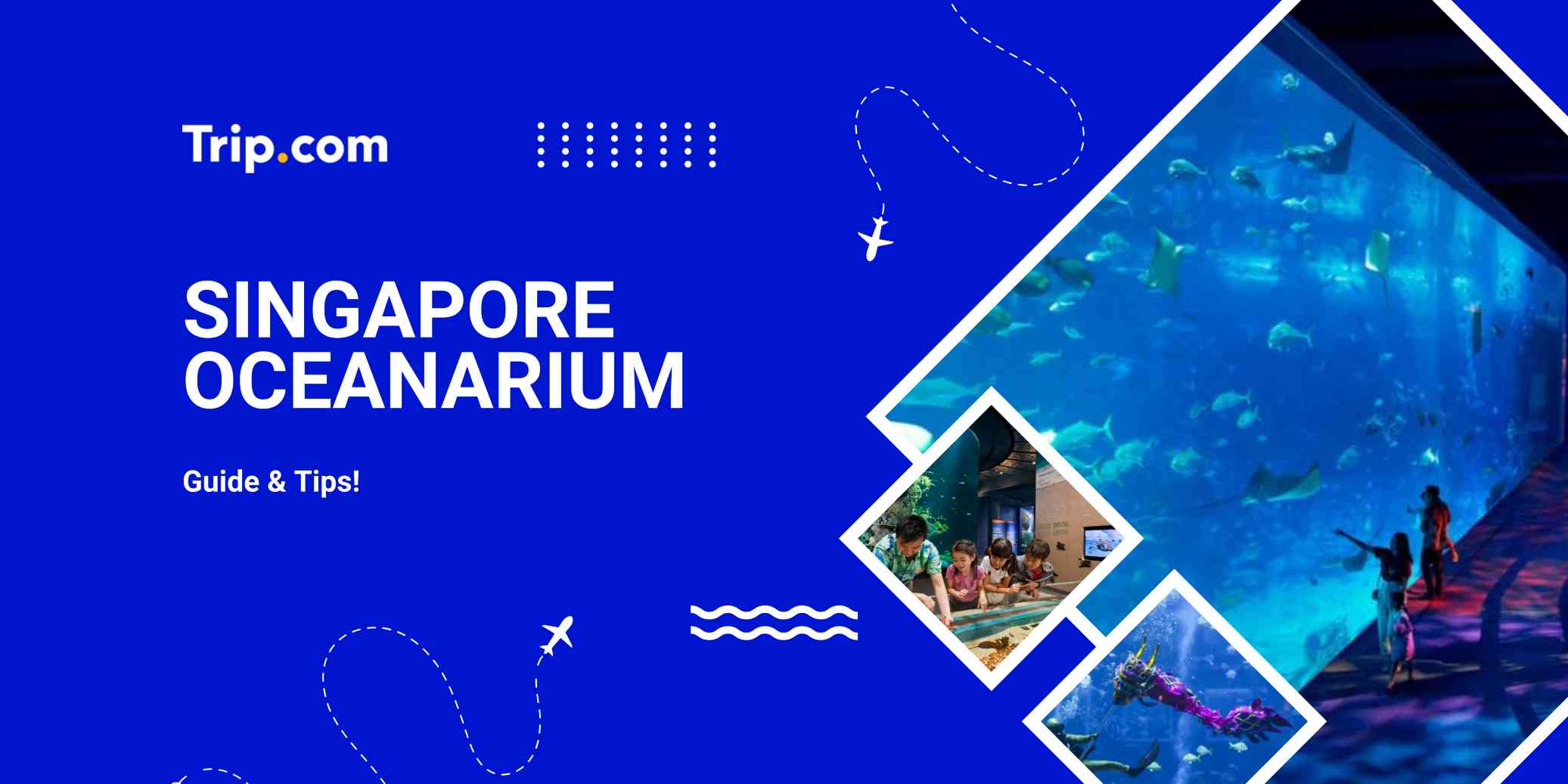 Singapore Oceanarium