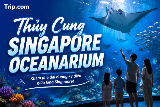 Kinh nghiệm đi Thủy cung Singapore Oceanarium: Giá vé & Hướng dẫn | Trip.com