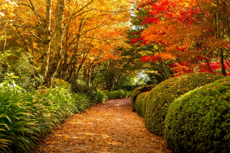 Blue Mountains National Park