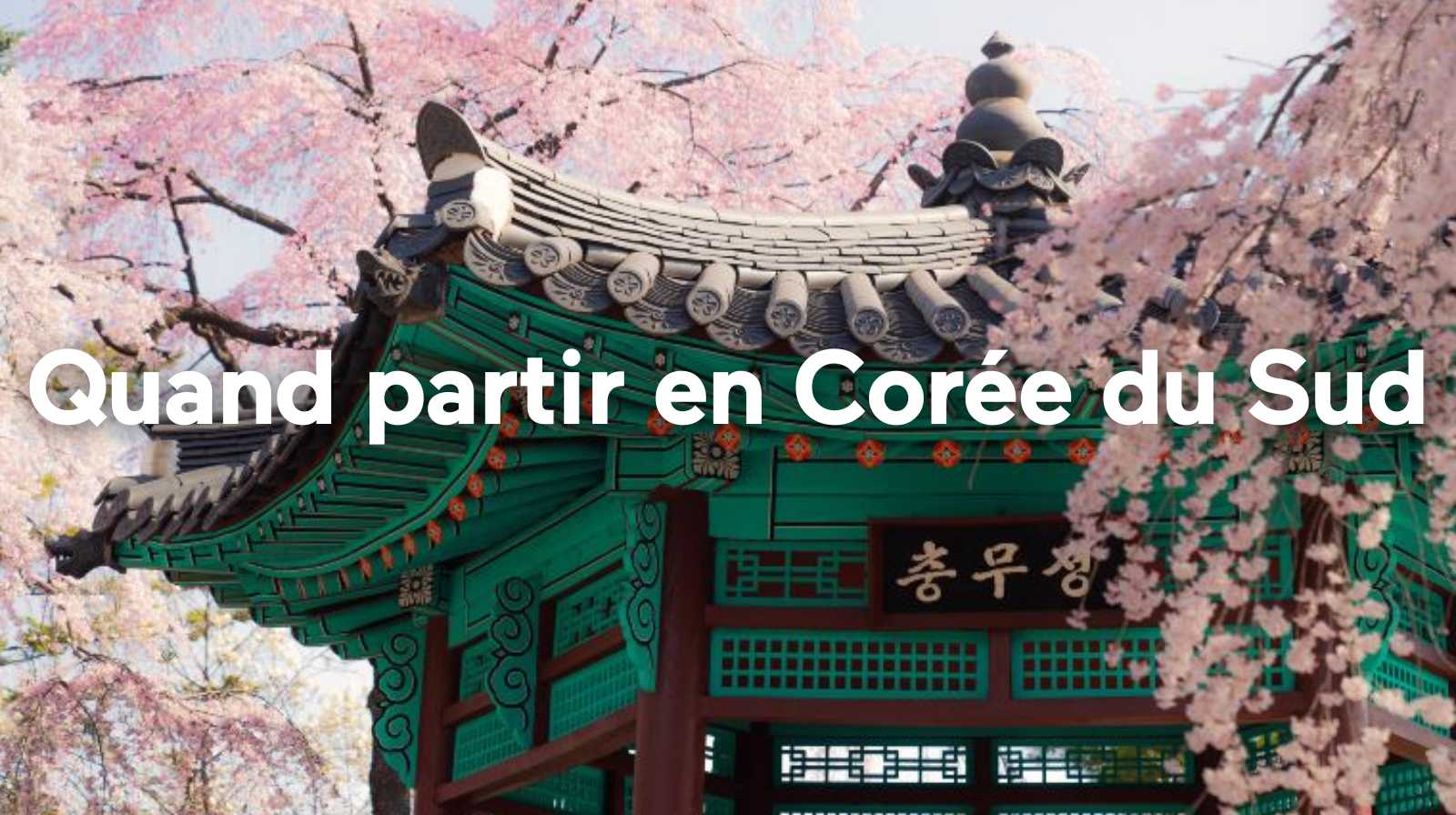 Quand partir en Corée du Sud