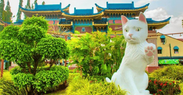 Cat Statue in Kuching