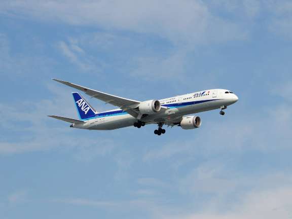 マイレージ番号の確認方法 （JAL・ANA）