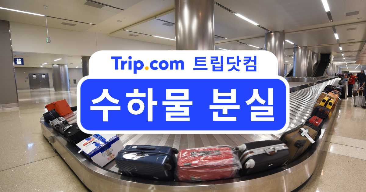 수하물 분실·파손 완벽 대처법