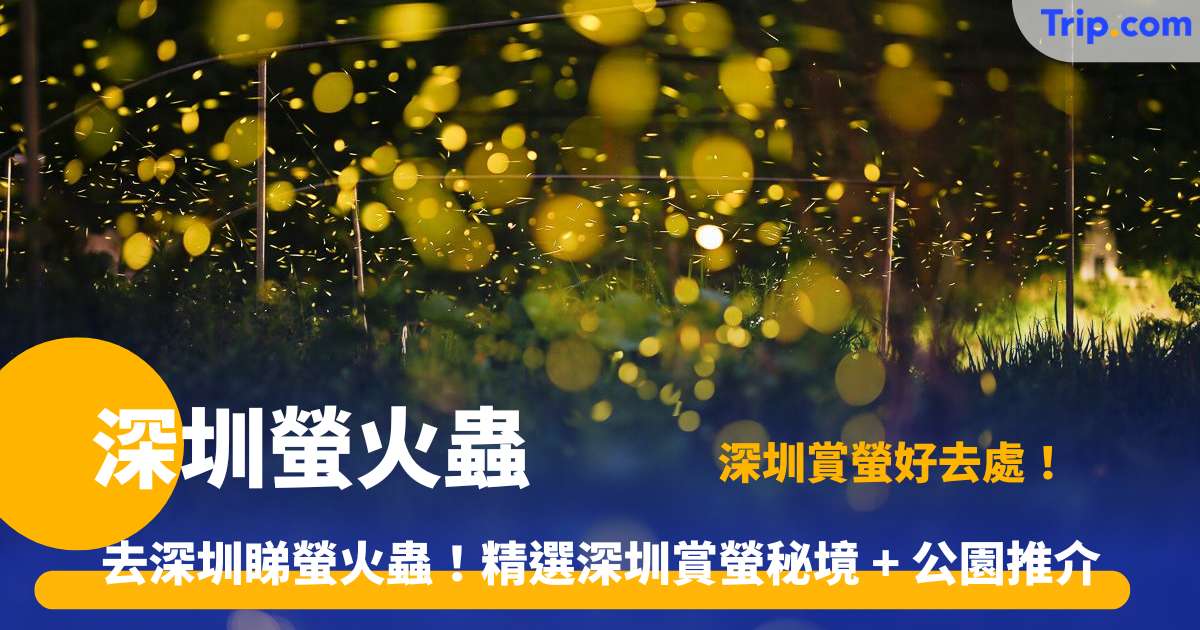 深圳螢火蟲 ｜深圳賞螢好去處！熱門景點 + 西涌暗夜社區 | Trip.com