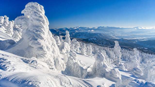 2 蔵王温泉で樹氷と雪山の景色を眺める