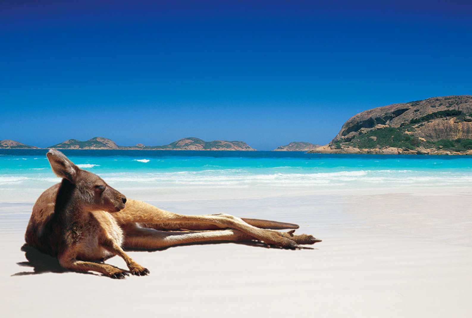 Vacation to Australia