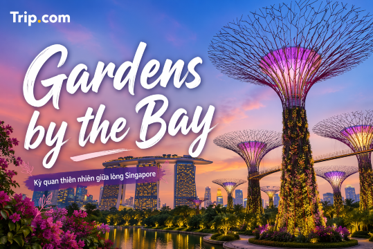 Gardens by the Bay 2026: Giá vé, Lịch trình & Kinh nghiệm đi | Trip.com