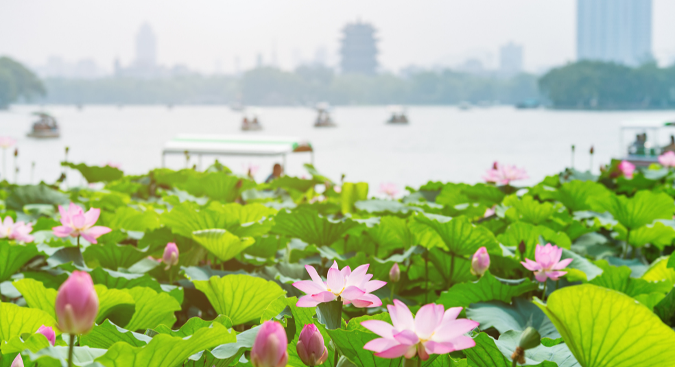 Top 10 West Lake Scenes (西湖十景)