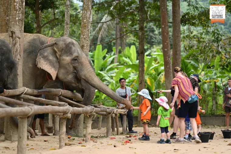 Elephant Jungle Sanctuary Chiangmai