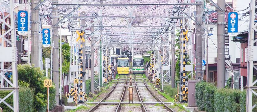 神户交通 | 私铁电车（阪急、阪神、山阳）