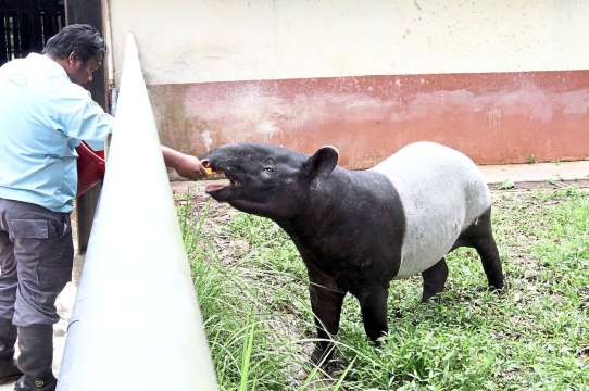 Zoo Johor