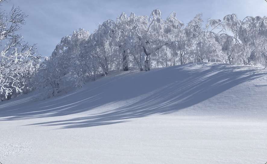 名寄ピヤシリスキー場