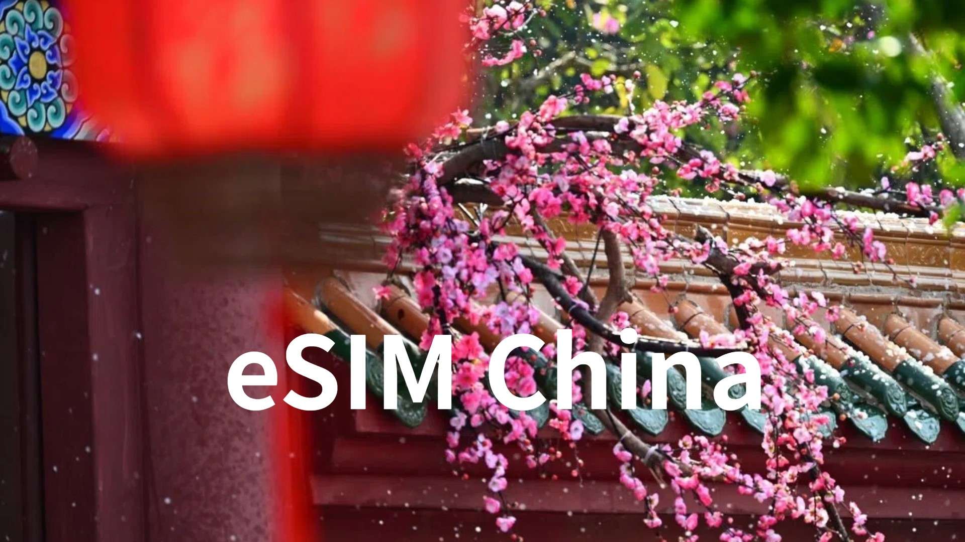 Beste eSIM China mit VPN ab 0,38 €