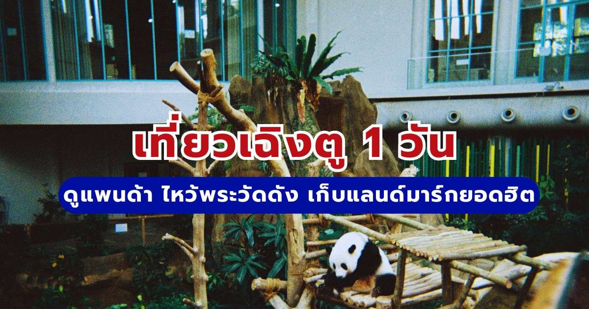 เที่ยวเฉิงตู 1 วัน 2569 ดูแพนด้า ไหว้พระวัดดัง เก็บแลนด์มาร์กยอดฮิต | Trip.com