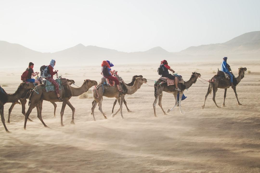 group of people riding camel on sand dune Via Unsplash (by Vaida Tamošauskaitė)