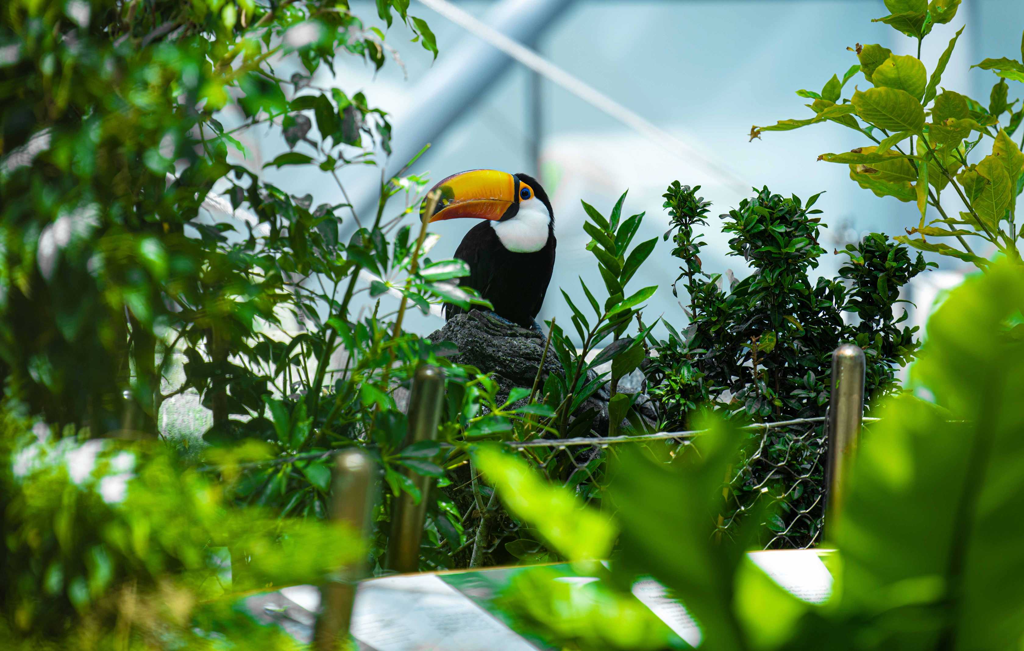 Зачем идти в Грин пленет Дубай
