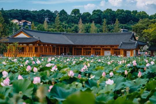 deokjin park