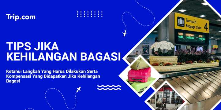 Tips Jika Kehilangan Bagasi