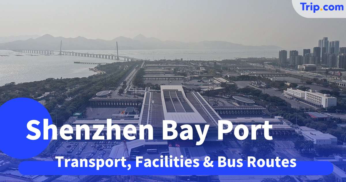 Shenzhen Bay Port 2026 Guide: Transport, Facilities & Bus Routes | Trip.com