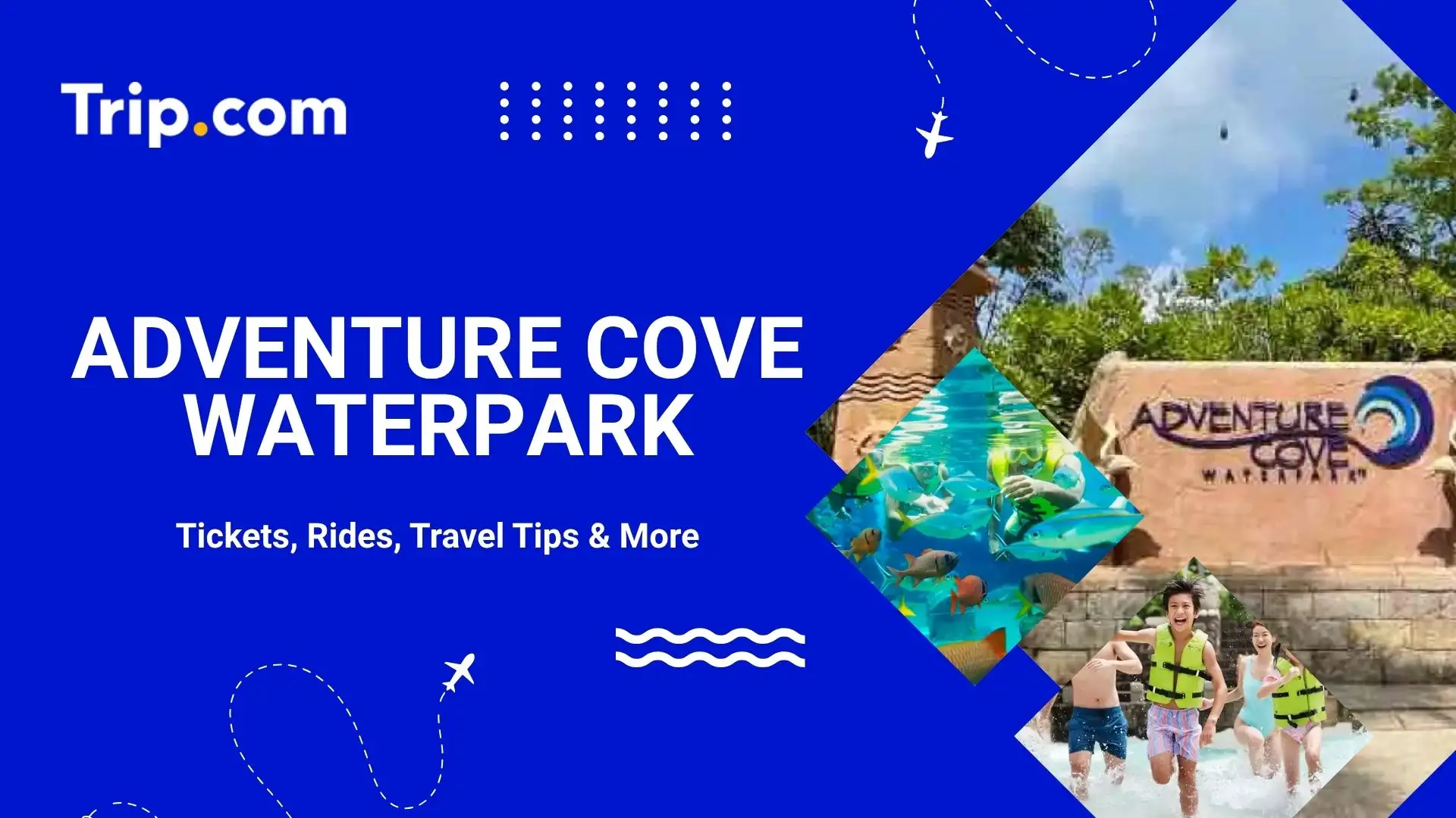 Adventure Cove Waterpark Tickets & Visiting Guide | Trip.com