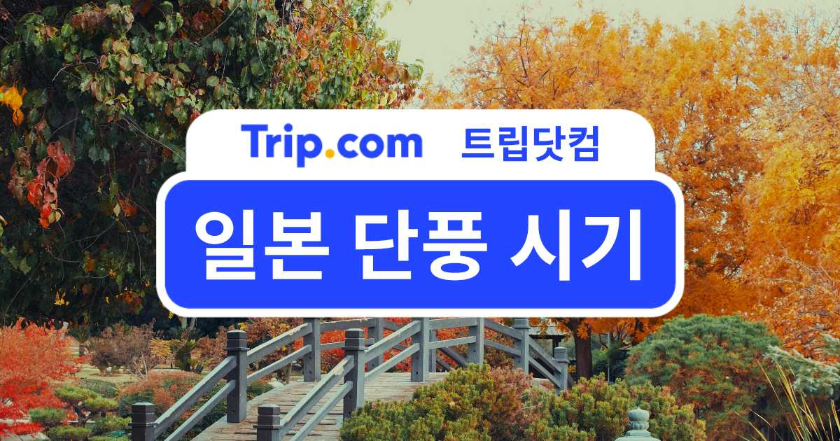 일본 단풍 시기 - 홋카이도부터 규슈까지 전국 단풍 일정 | 트립닷컴