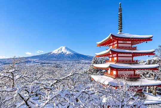 What Is the Weather Like in Tokyo in December?