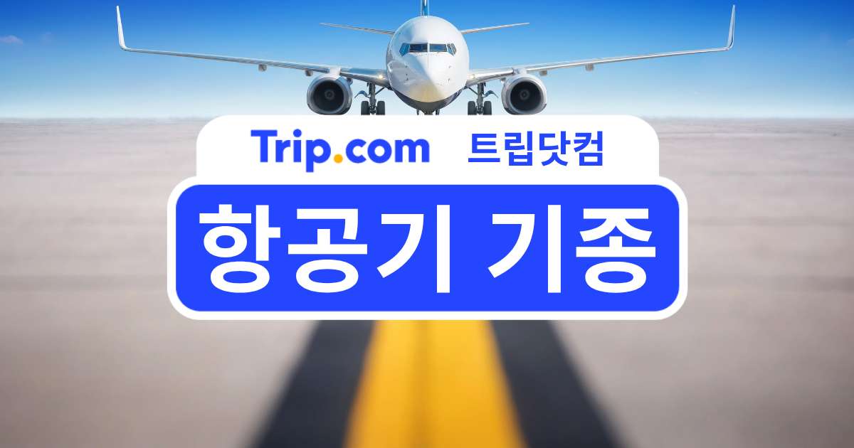 항공기 기종 가이드