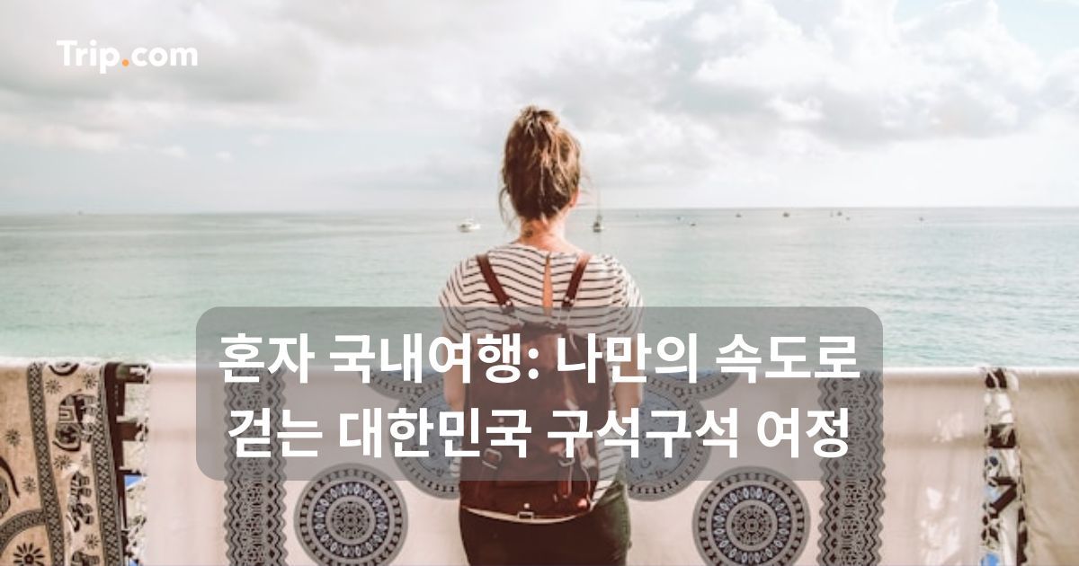 혼자 국내여행