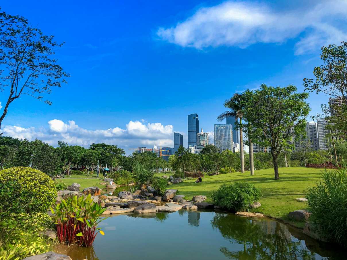 Shenzhen Park View