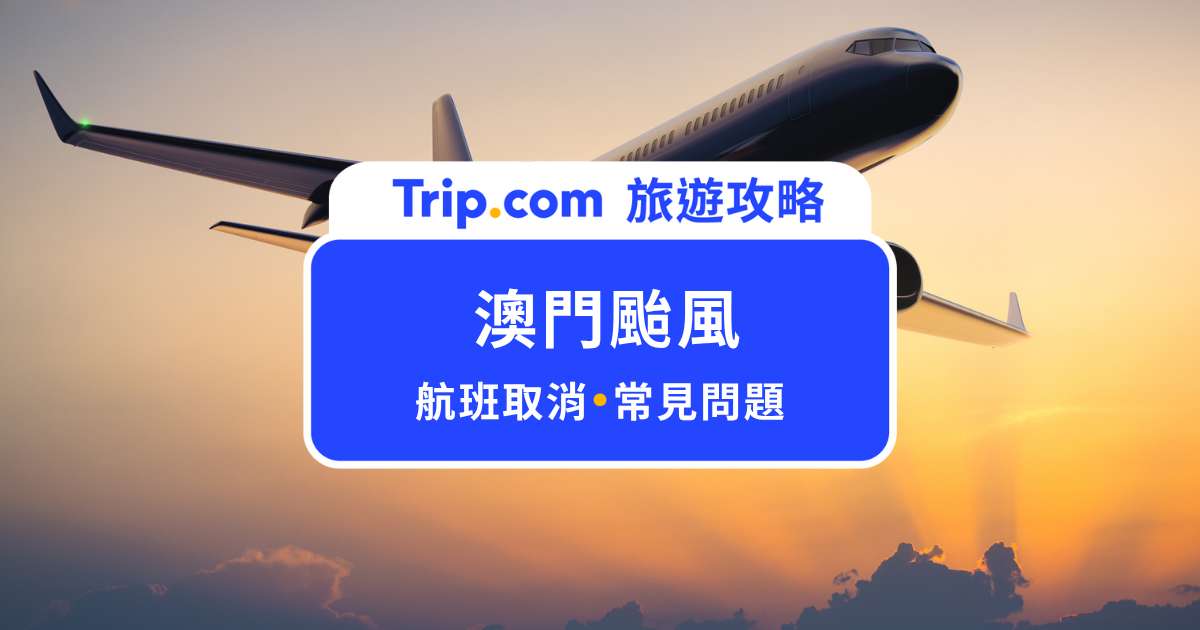 澳門颱風：別等飛機停飛才查！風球等級、停飛資訊完整攻略