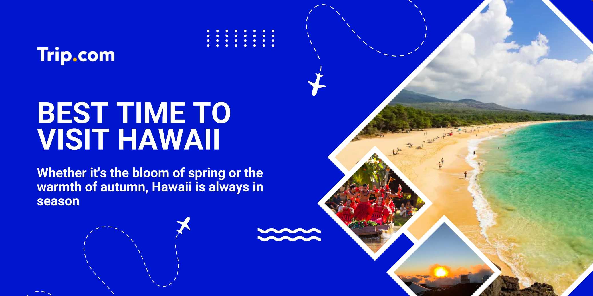 Best Time to Visit Hawaii Poster