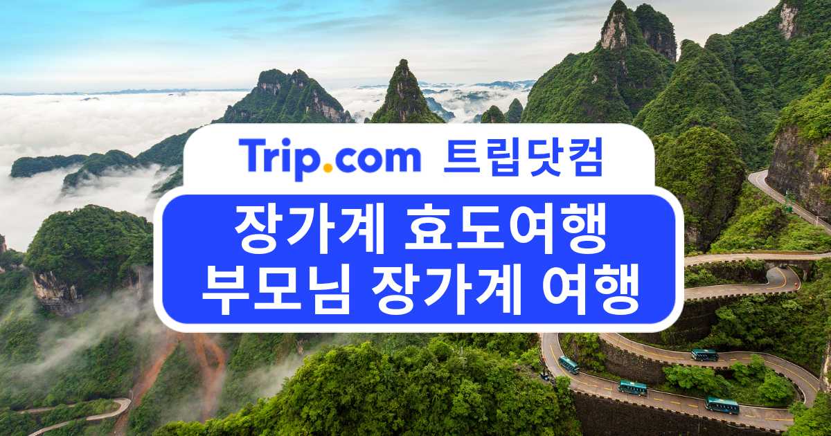 장가계 효도여행 가이드