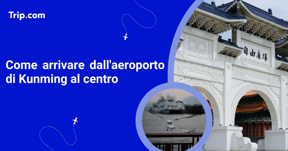 Come arrivare dall’aeroporto di [City] al centro