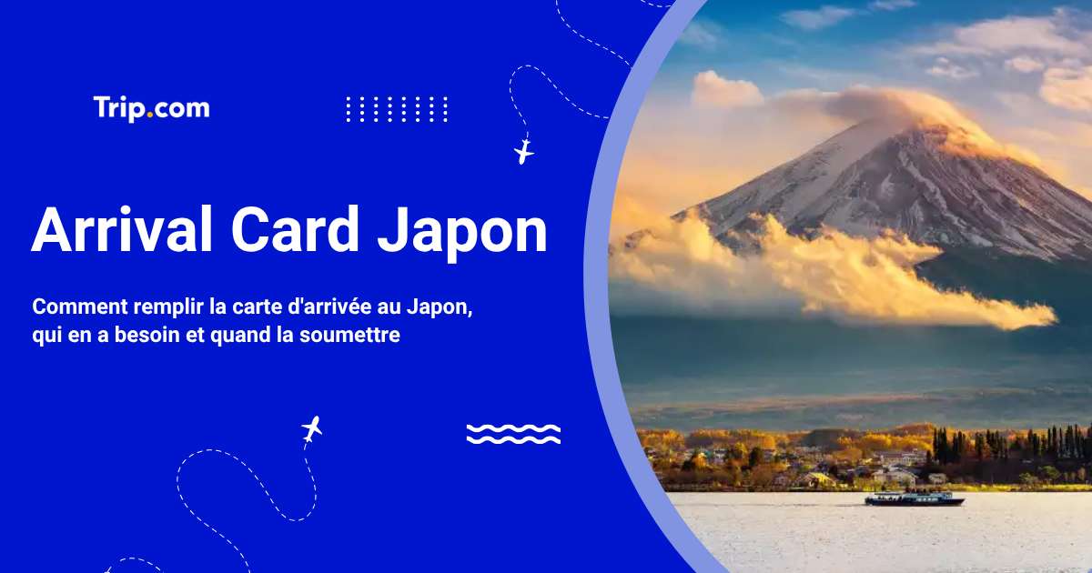 Arrival Card Japon : Quand et comment la remplir ?