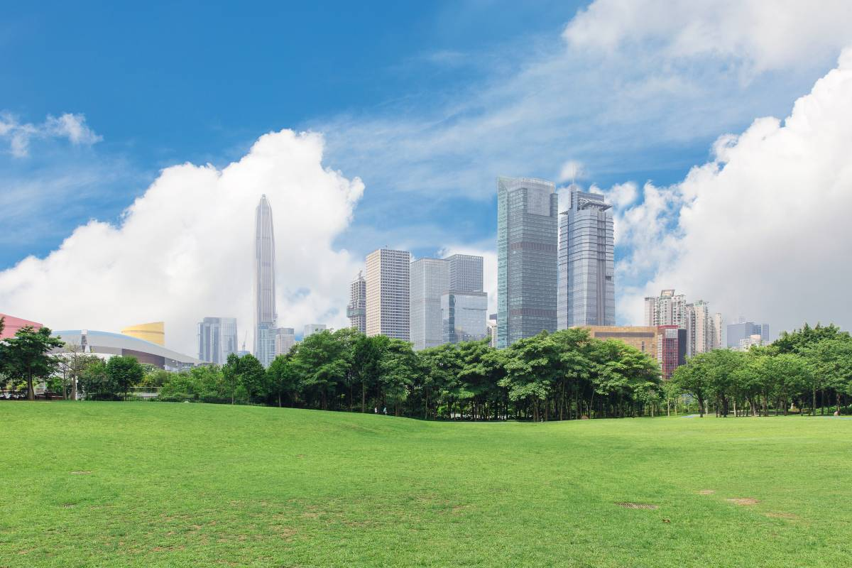 8. Celebrate the Beauty of Nature at Shenzhen Lianhuashan Park 🌼