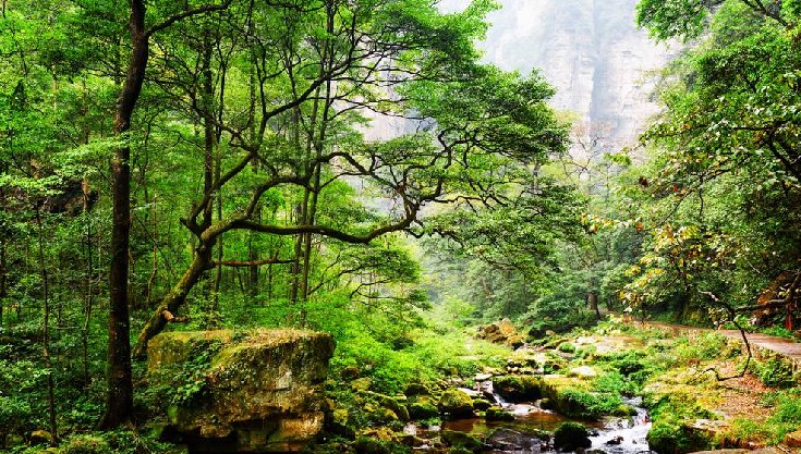 Avatar Mountains China Recommended Tour Route