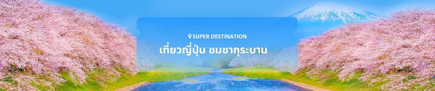 เที่ยวญี่ปุ่น ชมซากุระบาน