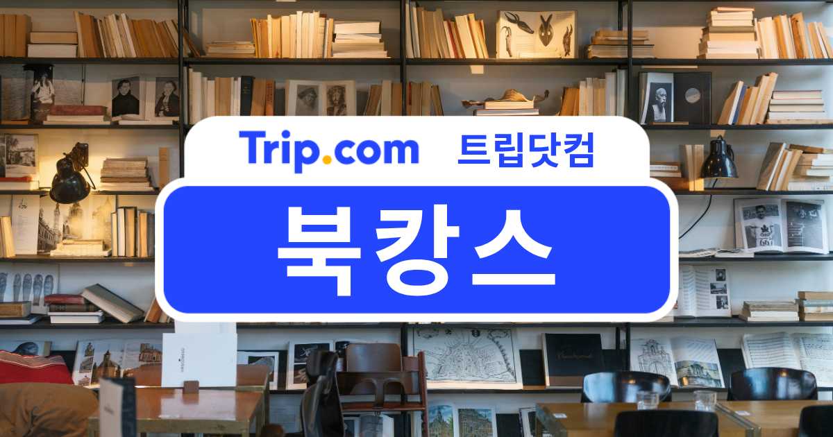 북캉스 떠나기 좋은 국내 도시 & 숙소 추천